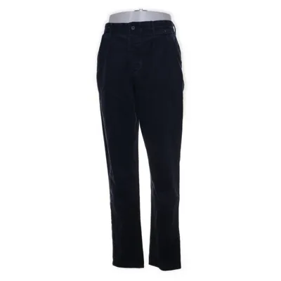 Pants (Blue) from Incotex
