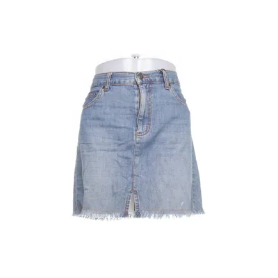 Denim skirt (Blue) from Earl Jean
