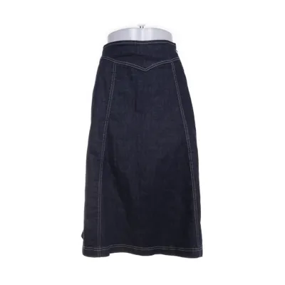 Denim skirt (Blue) from Queen Kerosin