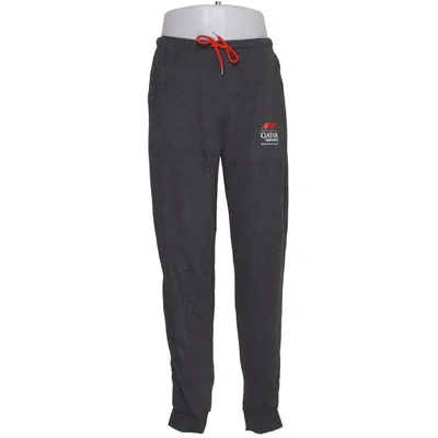 Sweatpants (Grå) fra Qatar Airways Genanvendt polyester, Viscose