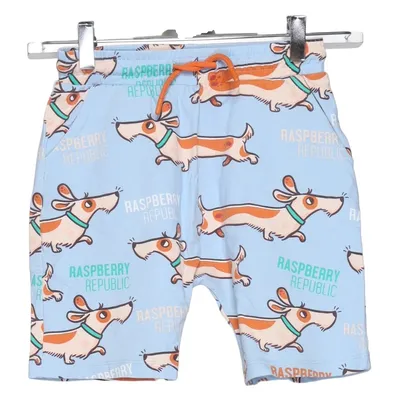 Shorts (Blue, Multicolored) from Raspberry Republic Cotton, Elastane