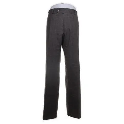Suit pants (Gray) from Reine Schurwolle Wool