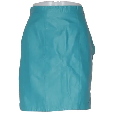 Skirt (Blue) from Danier Leather