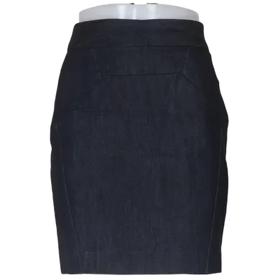 Skirt (Blue) from Leifsdottir Cotton, Elastane, Silk