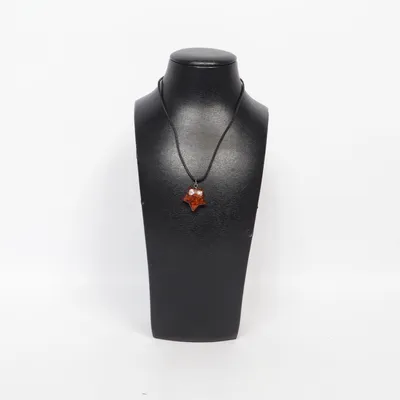 Halsband (Orange, Svart) Bärnsten