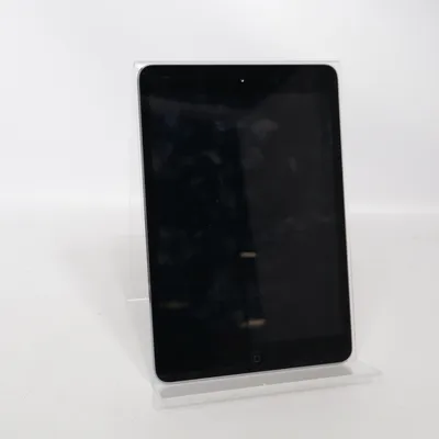Tablet (Silver) from Apple