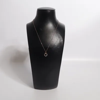 Halsband (Guldfärgad) Rostfritt stål