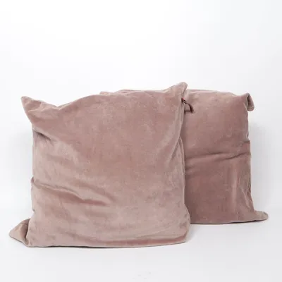 Prydnadskudde (Vit) från Cozy Living Bomull, Fjädrar