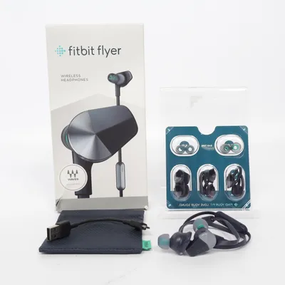 Headphones (Blue) from FitBit