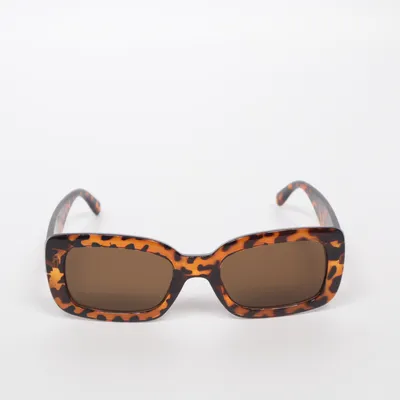 Solglasögon (Brun) från Glitter