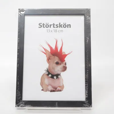 Ram (Störtskön Svart) från Estancia