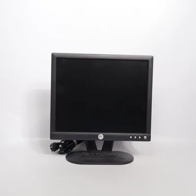 Datorskärm (E173FPb) från Dell