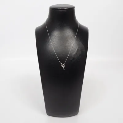 Necklace (Silver) Silver