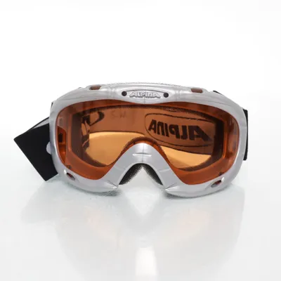 Skibril (Grijs, Meerkleurig) van Alpina