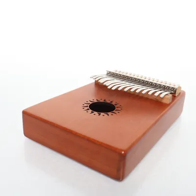 Instrument (Brun) fra Shiver