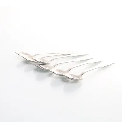 Theelepel (Zilver) van SVROSTFR