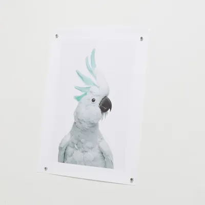 Poster van Desenio