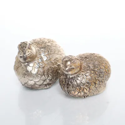 Salt & pepper shakers (Silver)