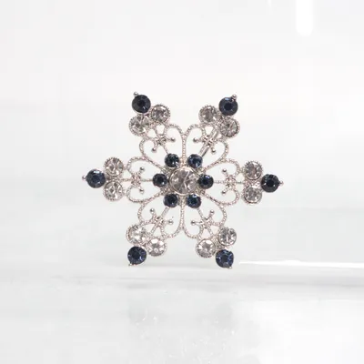 Broche (Zilver, Blauw) van Bijoux Onbekend materiaal