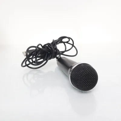 Microfoon (Zwart) van Lioncast