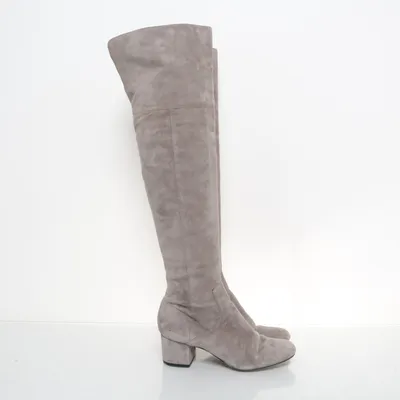 Laarzen (Grijs) van Sam Edelman Suède