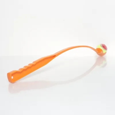 Accessoire pour chien (Orange, Multicolore) de Little