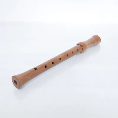 Blaasinstrument (Beige)
