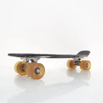 Skateboard (  )