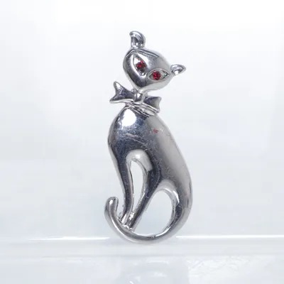Broche (Zilver) Onbekend materiaal