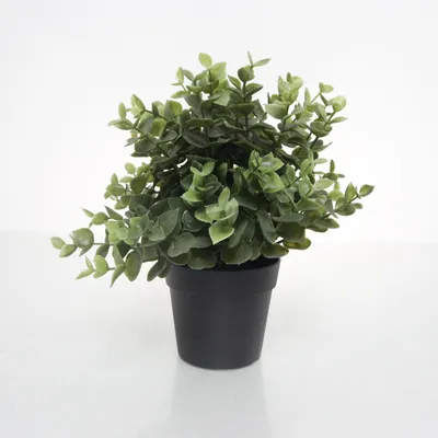 Kunstig plante (Grøn) fra IKEA