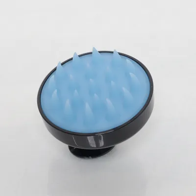 Droogborstel (Blauw, Zwart)