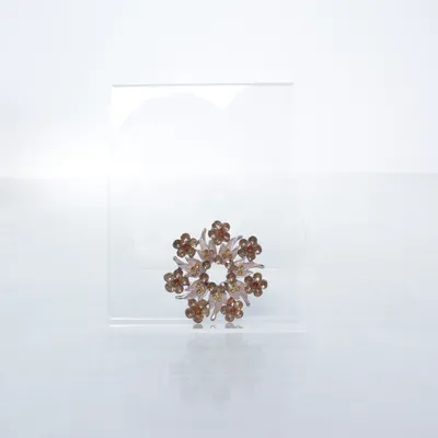 Brooch (Pink, Multicolored) Unknown metal