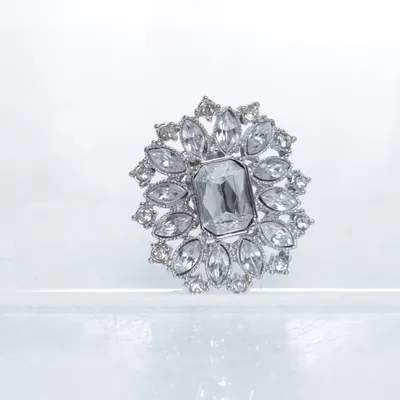 Broche (Sølv) Ukendt metal