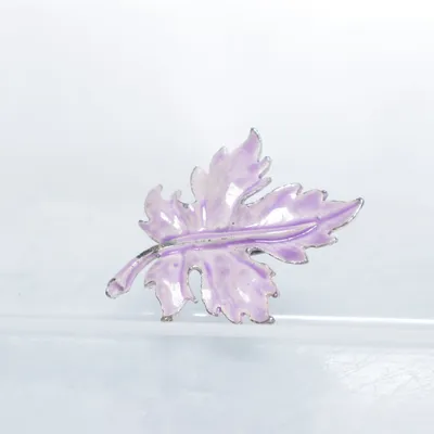 Broche (Lila) Onbekend materiaal