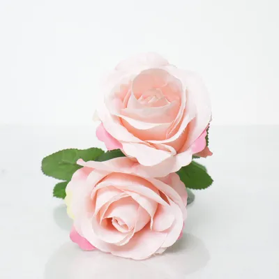 Kunstig plante (Grøn, Pink)