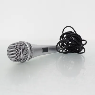 Mikrofon (Silverfärgad) från Top-Toy