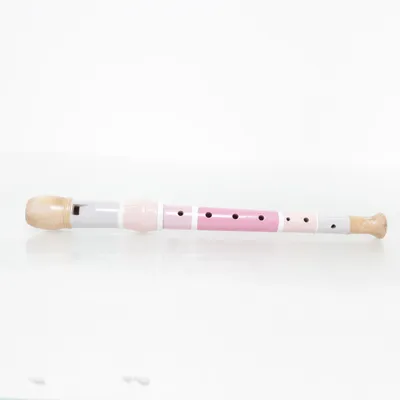 Blokfluit (Roze, Meerkleurig)