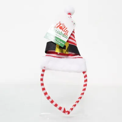 Kostuum accessoires (Rood, Wit)