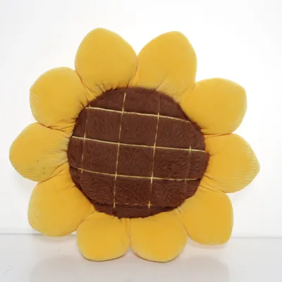 Cushion (Yellow, Brown)
