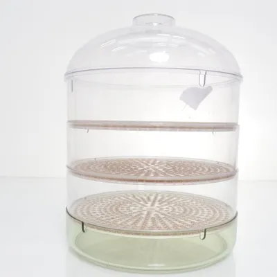 Steam cooker (White, Green) from San
