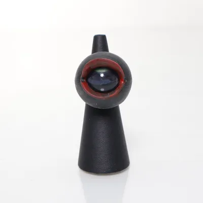Ring (Zwart) Onbekend materiaal