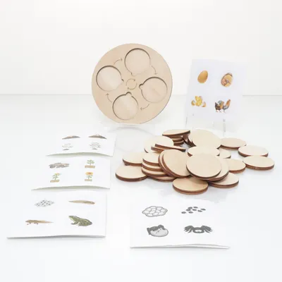 Activity toy (Beige)