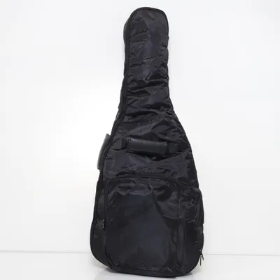 Guitar case (Black)