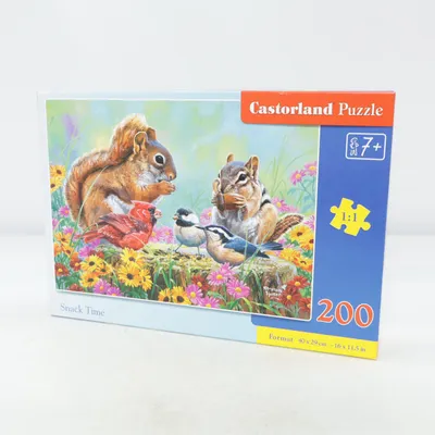 Puzzle from Castorland Puzzle