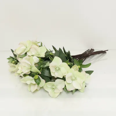 Artificial plant (Green, White, Brown) from New Port