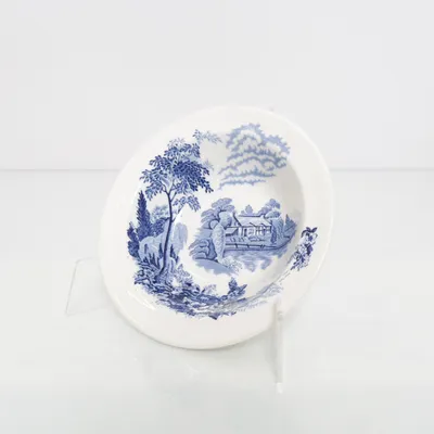 Schaal (Blauw, Wit) van Wedgewood