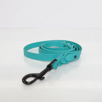 Leash (Turquoise)