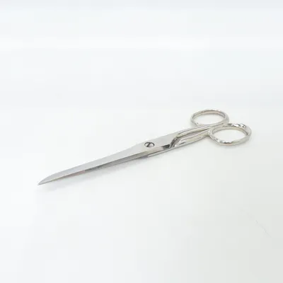 Scissor (Silver) from Zwilling J.A Henckels