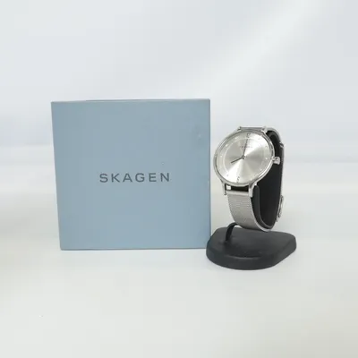 Montre (Argent) de Skagen