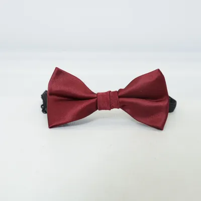 Noeud papillon (Rouge) Polyester